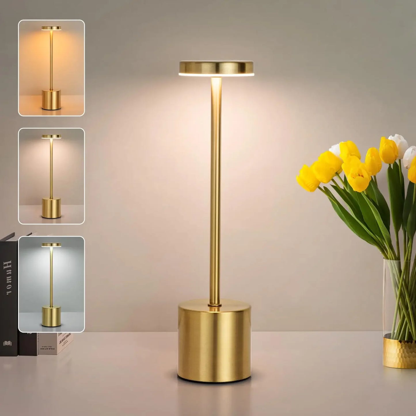 Rechargeable Cordless LED Table Lamp
